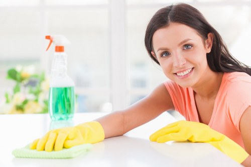 Professional end of tenancy cleaning in a Collierswood flat