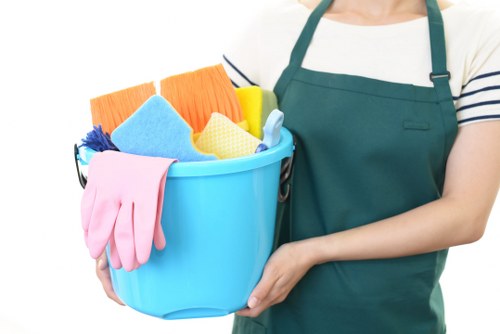 Regular cleaning service in a Collierswood home with tidy living spaces