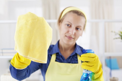 Professional patio cleaning for Collierswood homes and gardens