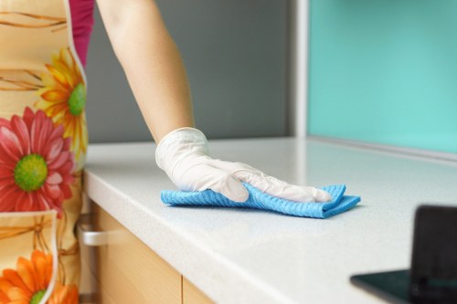 Local cleaner providing scheduled cleaning in Collierswood