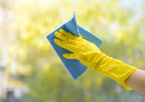 House cleaning service in Collierswood for local homes and flats