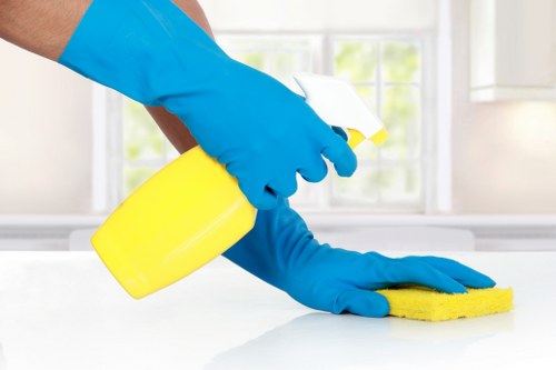 Final property cleaning for tenants and landlords in Collierswood