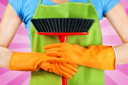 Professional mattress cleaning service for homes in Collierswood