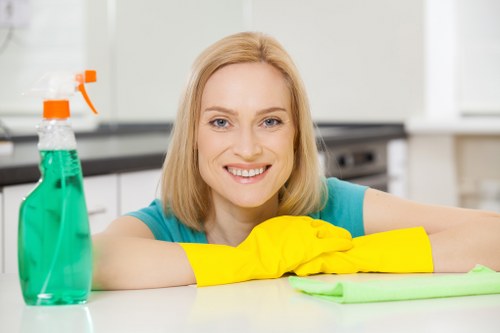 Final property handover cleaning in Collierswood for residential or commercial clients