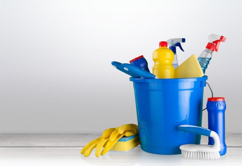 Kitchen and bathroom regular cleaning for a Collierswood property