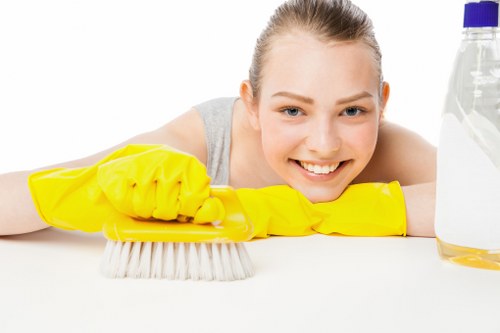 Oven cleaning for residential and commercial kitchens in Collierswood