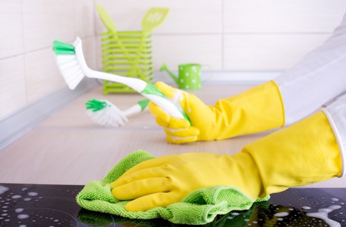 Window cleaning for mixed property types in Collierswood
