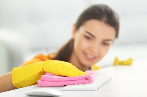 Deep mattress cleaning equipment used in a Collierswood property