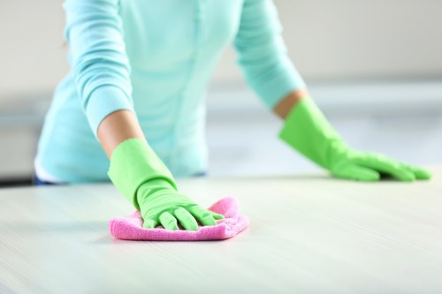 Local cleaner working in a Collierswood property with limited access