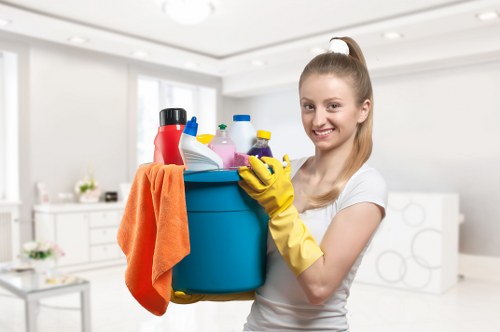 Local move out cleaning for apartments and houses in Collierswood