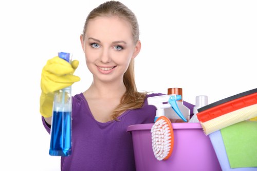 Deep cleaning and move-related cleaning service in Collierswood